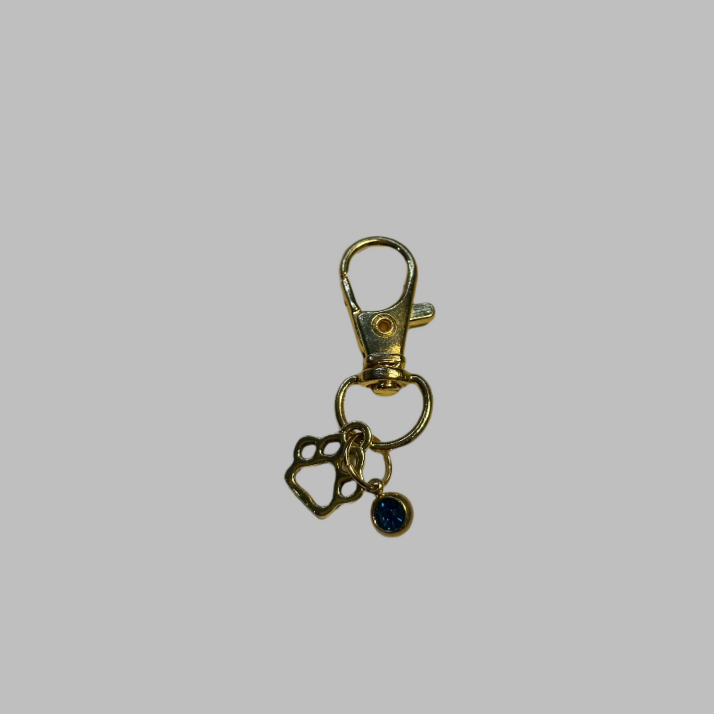 Dog Paw Charm With Gem