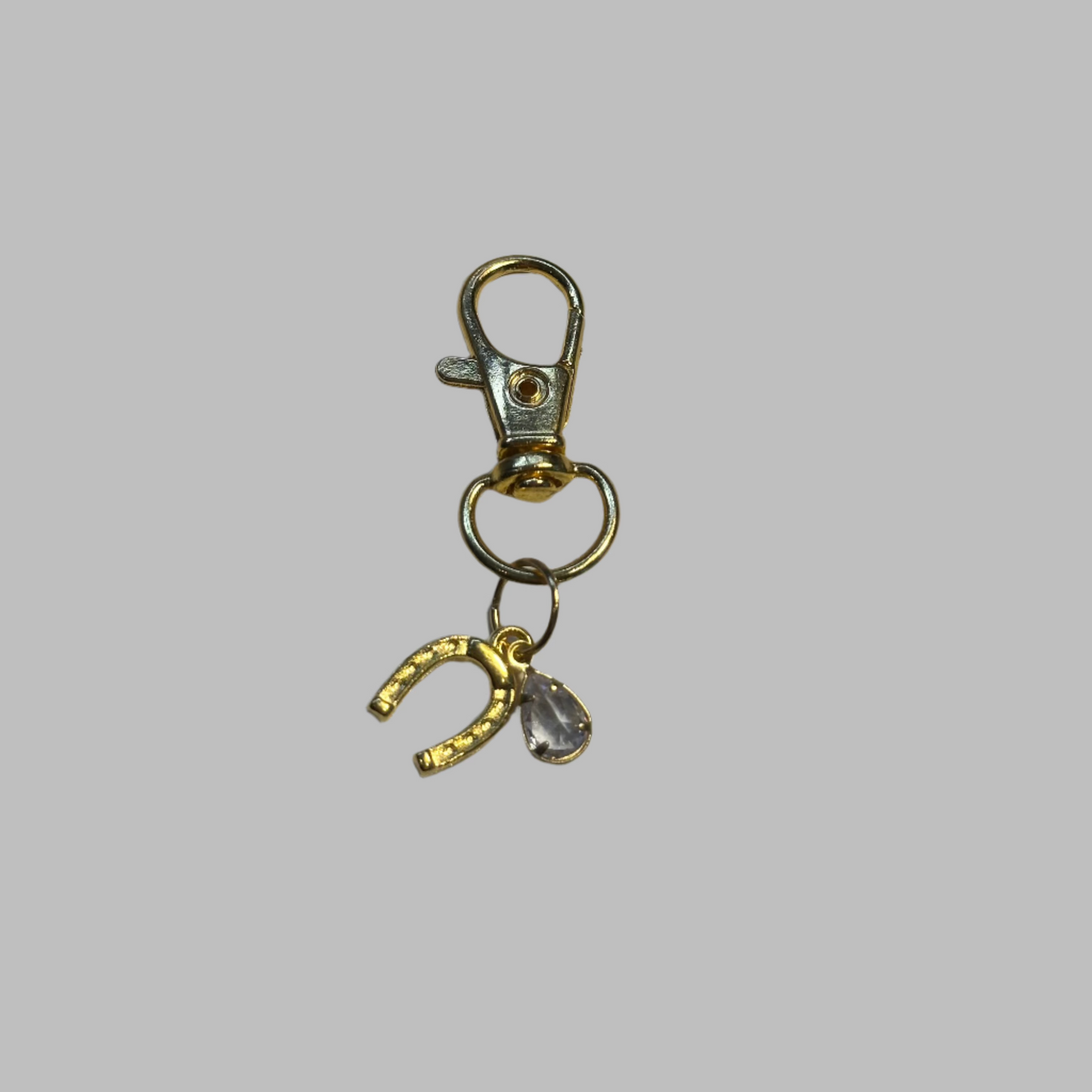 Horse Shoe Charm With Crystal