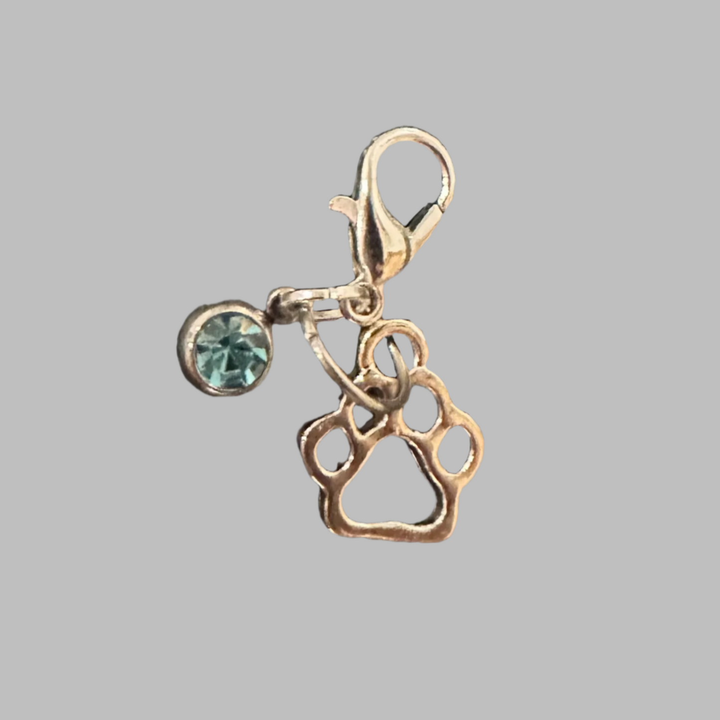 Dog Paw Charm With Gem